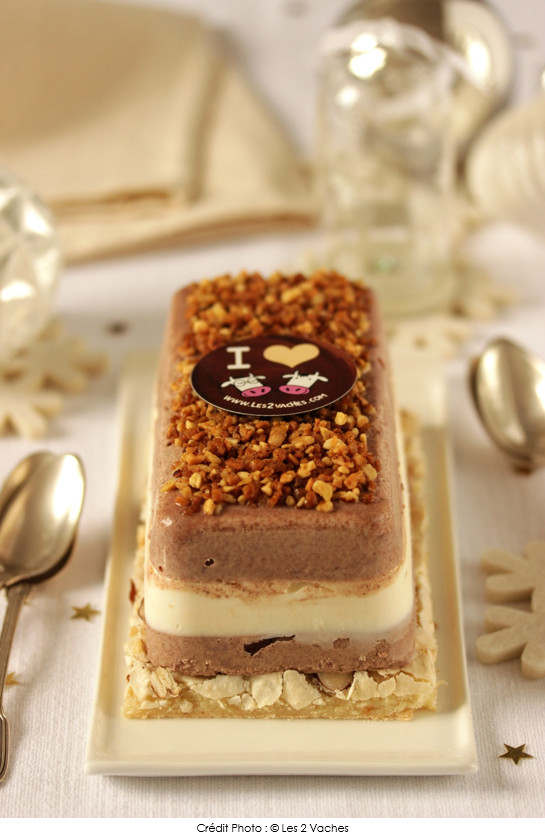 buche-glacee-vanille_chocolat-et-pralin