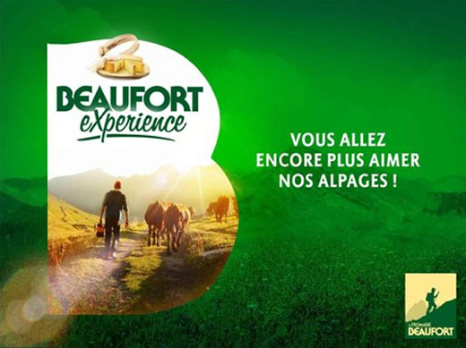 beaufort-experience-2016