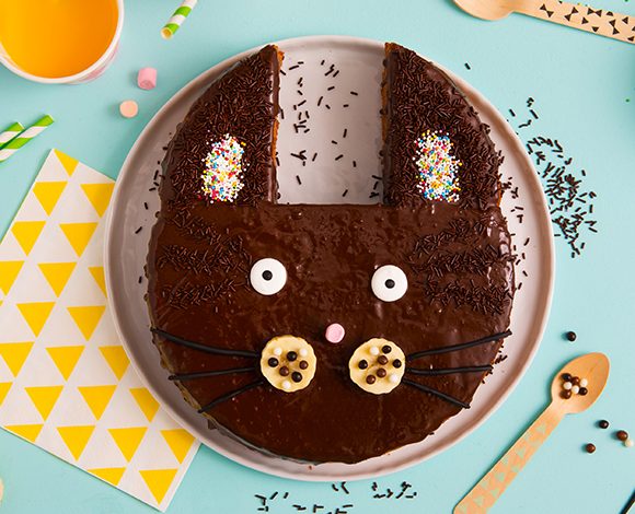 Gateau Chat Choco Noisette A Vos Assiettes Recettes De Cuisine Illustrees