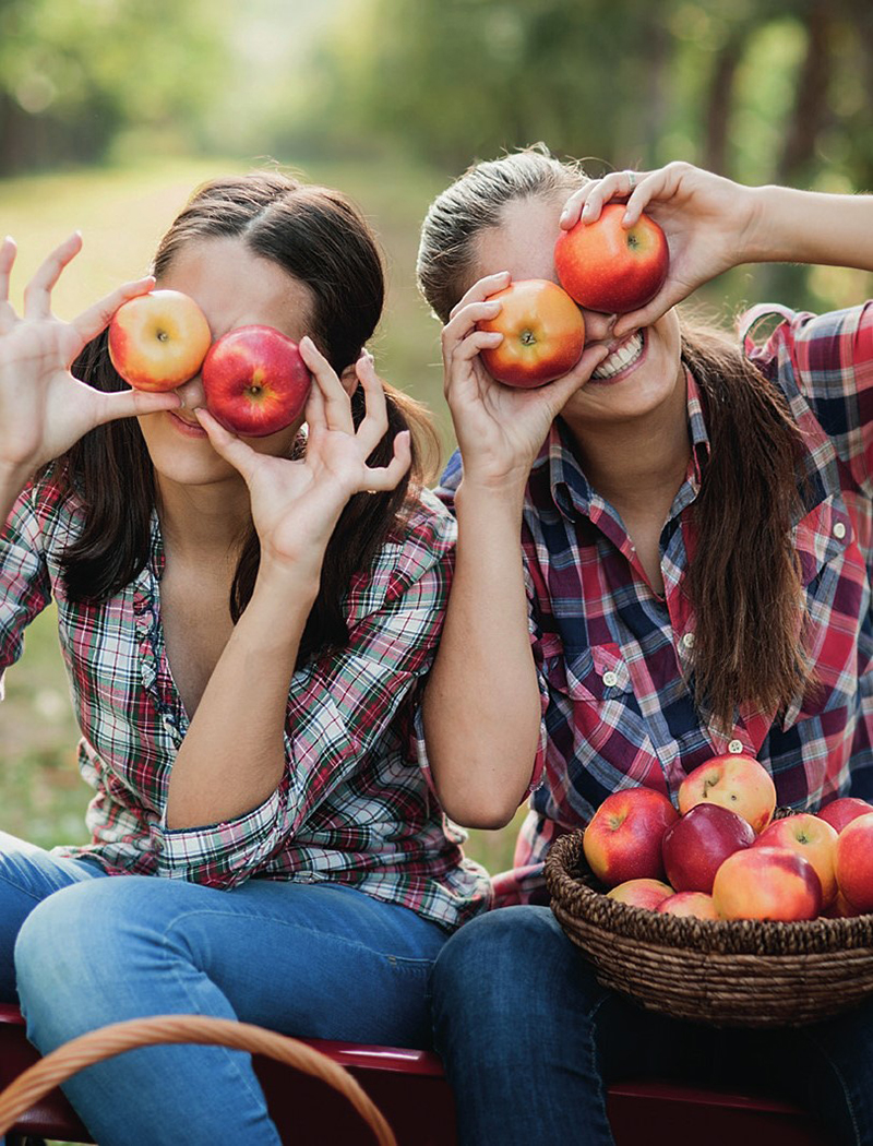 Andros à propos 2021