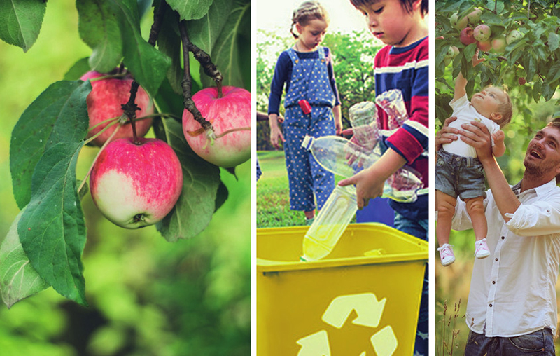 Andros® gourde de fruits recyclable 