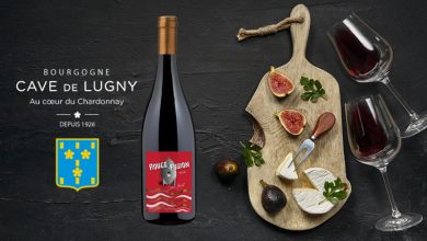 Un Homme un Vin : “Rouge Fusion”, la rencontre du Pinot Noir et du Gamay