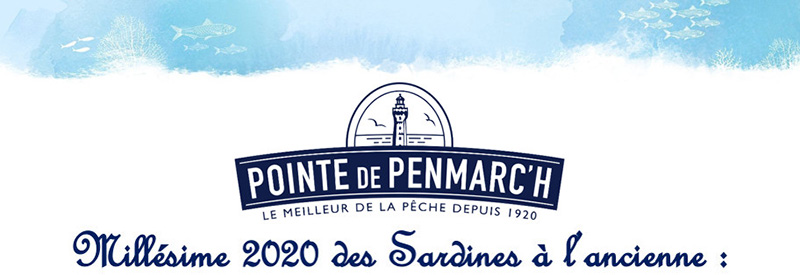 Pointe de Penmarc'h 