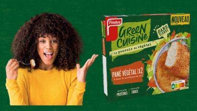 Panés Végétaux Findus Green Cuisine