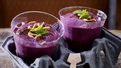 Glace yaourt myrtilles sauvages du Canada