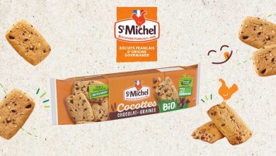 Cocottes chocolat et graines BIO St Michel