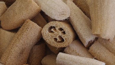 L’éponge de luffa