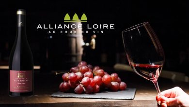 Clos de la Lysardière - Vieilles vignes