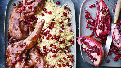 Lapin laqué grenade