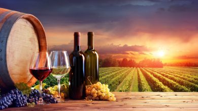 Vin biologique et vin biodynamique