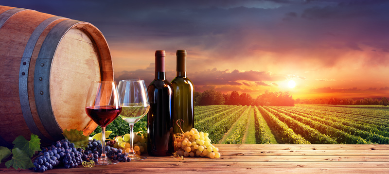 Vin biologique et vin biodynamique