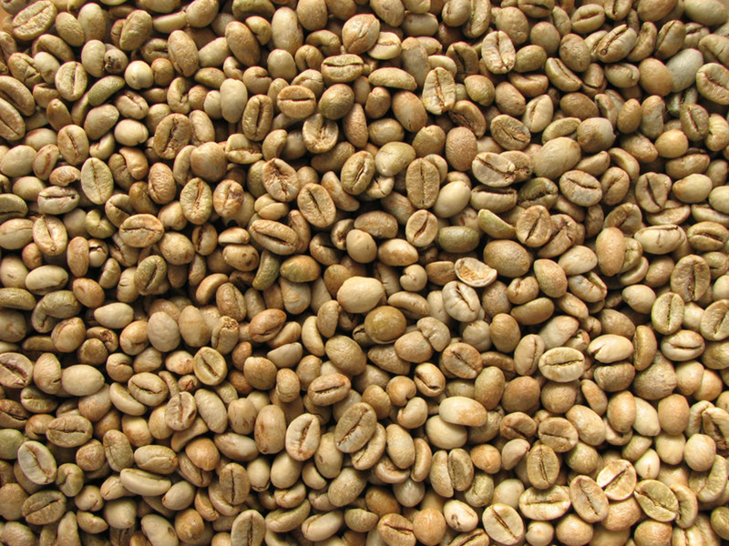 Grains de café robusta vert d'Ouganda