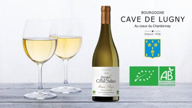 Mâcon-Village du Domaine de la Croix Salain 2020