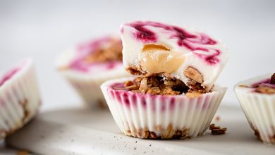 Mini yaourts glacés miel de la Champagne, granola fruits rouges