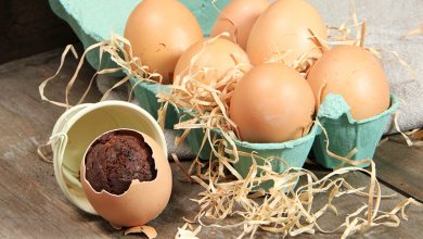 Œufs de Pâques surprise chocolat moelleux