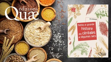 Petite et grande histoire des céréales et légumes secs