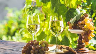 Top 4 meilleurs vins du monde entier