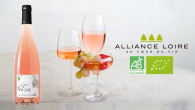 Éclat de Vigne Cabernet d'Anjou 2021