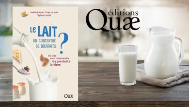 Le Lait, un concentré de bienfaits ?