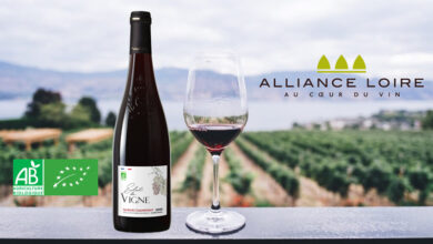 Saumur Champigny - Eclat de Vigne