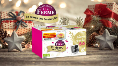 Bûche Glacée Mangue Passion