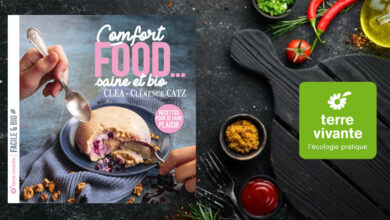 Comfort food… saine et bio