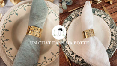 Un chat dans ma botte