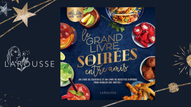 Le grand livre des soirées entre amis