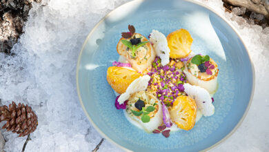 Noix de Saint-Jacques, choux-fleurs en textures sauce grenobloise