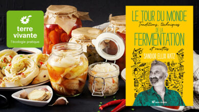 Le tour du monde de la fermentation