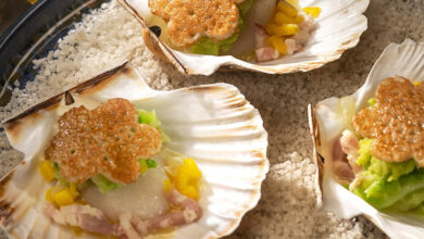 Saint-Jacques coquille, lard chou fumé