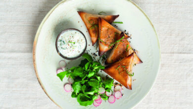 Samoussas de sardines épices