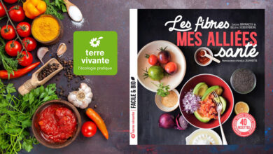 Les fibres, mes alliées santé