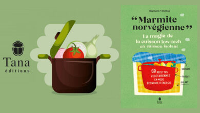 Marmite norvégienne