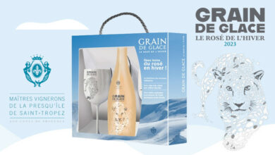 GRAIN DE GLACE 2023