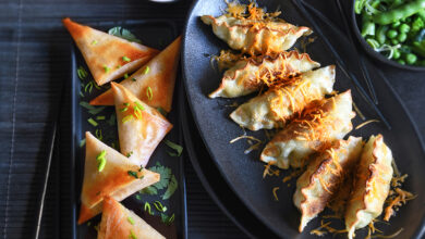 Gyozas poulet mimolette - Samoussas fromage frais légumes