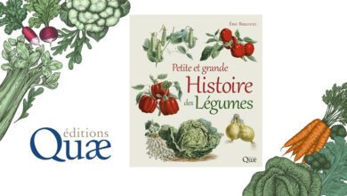 Petite grande histoire des légumes