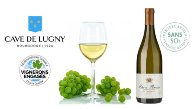 Mâcon-Péronne en Chassigny