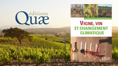 Vigne, vin changement climatique
