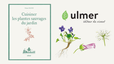 Cuisiner plantes sauvages jardin