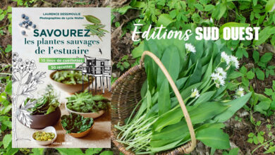 Savourez les plantes sauvages de l’estuaire