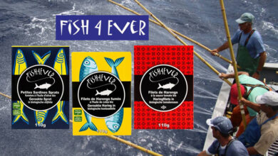 Nouveautés FISH4EVER
