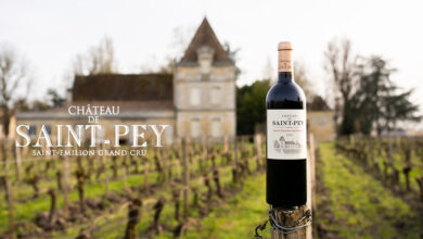 Château de Saint-Pey