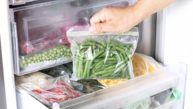 Conservation congélateur