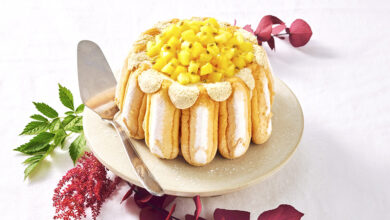 Charlotte vanille fruits exotiques