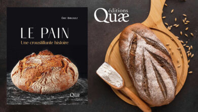 “LE PAIN” Une croustillante histoire