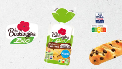 Pains au lait pépites de chocolat Bio