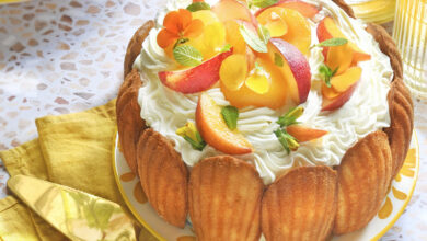 Charlotte 3 fruits d’été