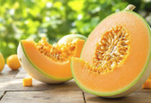 Melon, fruit délicieux rafraîchissant