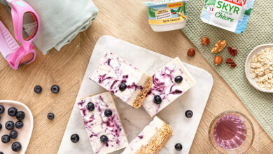 Barres glacées protéinées skyr vanille lait de chèvre